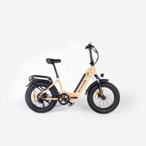 Bicicleta Eléctrica Biwbik Dakar
