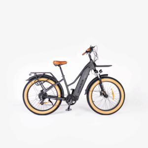 Bicicleta Eléctrica Biwbik Sydney