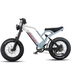 Ebike Fatbike VIKETORY NAVY